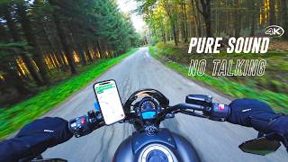 Both terrible amp STUNNING roads in the Belgian Ardennes  Kawasaki Vulcan S  Pure sound  4K [upl. by Emmett]