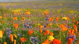 Sourate 67 AlMoulk La royauté  Abdelbasset Abdessamad [upl. by Boswell]