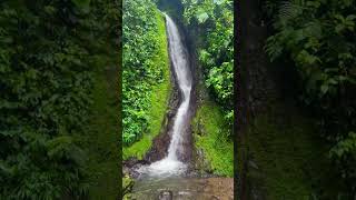 📍 Místico Arenal Hanging Bridges in Costa Rica 💚 Full video on the channel [upl. by Adnuhsed]