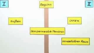 DonnanGleichgewicht  Chemie  Physikalische Chemie [upl. by Atsed]