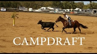 CAMPDRAFT AUSTRALIA [upl. by Ocirema]