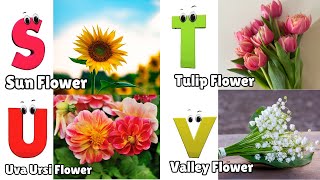 Flowers ABC Song for Kids  Phonics for Kids  English Alphabet Letters [upl. by Demakis]