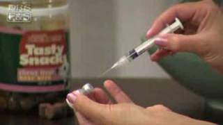 How to Vaccinate Your Dog at Home DrsFosterSmith [upl. by Flosi14]