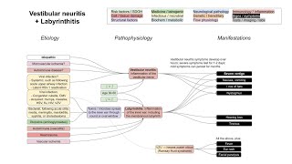 Vestibular neuritis  Labyrinthitis mechanism of disease [upl. by Allare]