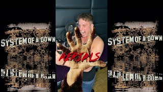 Aerials  System of a Down Vocal Cover [upl. by Enawtna]