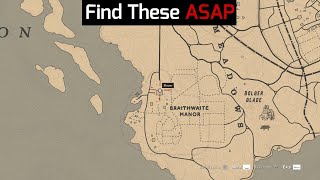 These Things Are Very Hard To Find That The Game Wont Tell You  RDR2 [upl. by Aysa]