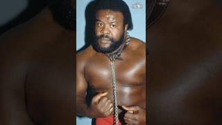 Greg Valentine  What Junkyard Dog was Like to Wrestle [upl. by Adlemy]