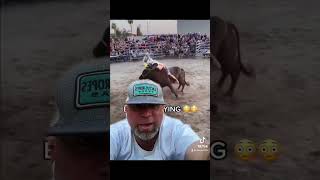 A Bull Pool Noodles and No Hands Watch Til the End to See What Happens rodeo upload reaction [upl. by Dahsra]