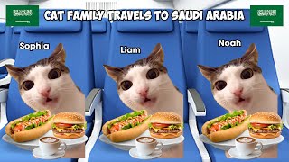 Cat Family Travels To Saudi Arabia [upl. by Inerney]