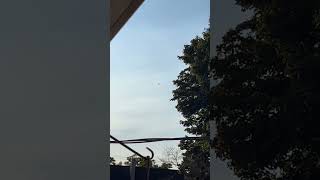 Cessna 208B Grand caravan EX sea plane flying over [upl. by Leoine994]