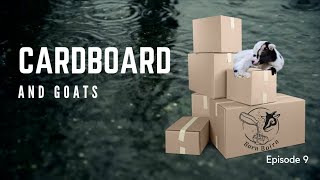 Cardboard and Goats Episode 9 BarnBairnGoatMilkSoap [upl. by Camden723]