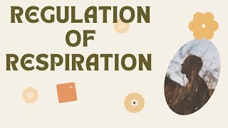 Regulation of Respiration  Respiratory Centers  Chemical control of respiration [upl. by Vaas]