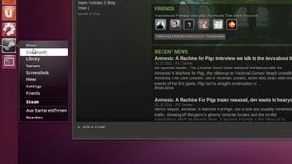 SteamBeta für Linux ausprobiert [upl. by Essenaj]