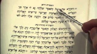 Haftorah Reading Vayera Rabbi Weisblum קריאת הפטרת וירא הרב ויסבלום [upl. by Putnam497]