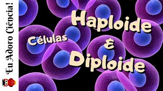 Células Haploide n e Diploide 2n [upl. by Enrika]