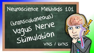 Vagus Nerve Stimulation Explained VNStVNS  Neuroscience Methods 101 [upl. by Ailegave]