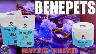 BENEPETS Coral Reef amp LPS Food  Hilary On Location [upl. by Fowkes]