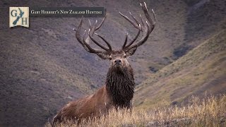 2015 Gary Herberts New Zealand Hunting Promo [upl. by Edgell]