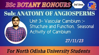 Vascular Cambium Structure and Function Seasonal Activity of Cambium [upl. by Annola]