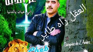 Cheb AzzedineEl Akal Rah Tayer شاب عزالدينالعقل راه طاير [upl. by Suki]