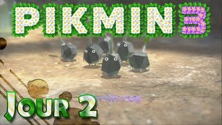 Lets Play FR HD Pikmin 3  Jour 2 [upl. by Lenuahs]