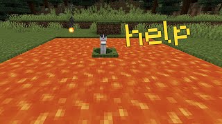 torturing animals in minecraft for 4 minutes straight [upl. by Wulf416]