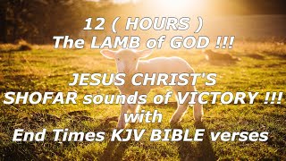 The Lamb of God Jesus Christs Shofar sounds of Victory for 12 hours with End times KJV Bible verses [upl. by Nerual]