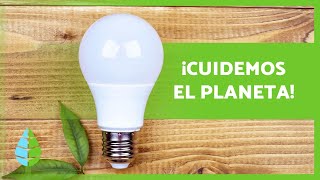 10 ACCIONES para CUIDAR el MEDIO AMBIENTE 🌏✅ [upl. by Nyvlem]