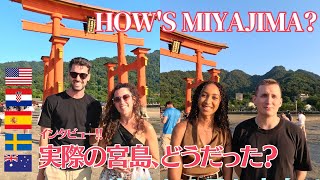 Interview about Miyajima Island and Japan Travel How to enjoy Miyajima in summer beautiful sunset [upl. by Gnem251]