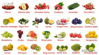 Fruit Names in English [upl. by Roumell127]