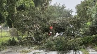 Falling tree nearly crushes vehicle in DeLand ahead of Hurricane Milton [upl. by Incrocci]