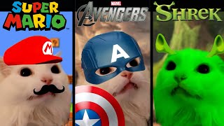 Funny cat sings quotMeowquot in different universes [upl. by Ahseetal]