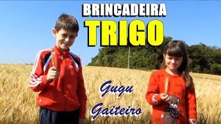 BRINCADEIRA DA ESPIGA DE TRIGO [upl. by Prochoras]