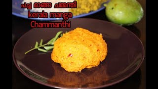 Chammanthi  പച്ചമാങ്ങാ ചമ്മന്തി  Kerala Raw Mango Chutney [upl. by Martel111]