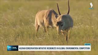 Kazakh conservation initiative recognized in global environmental competition [upl. by Hilar17]