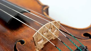 Best Violin Strings in 2024 Top 10 Picks [upl. by Merna]