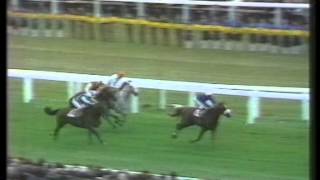 1976 St Leger Stakes [upl. by Wahlstrom120]