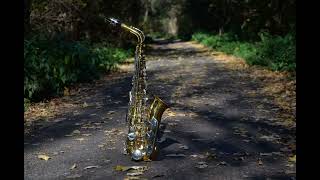 Romantic saxophone My Way Fausto Papetti 365 АК SAX MUSIC [upl. by Agathe]