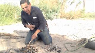 Desert Survival Food Cattails Typha latifolia [upl. by Eimoan714]