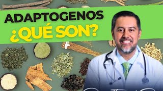 🍃ADAPTOGENOS🌿🌿 ¿QUE SON EXPLICADO CON TODO DETALLE [upl. by Eeliak]