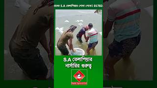 তেলাপিয়া চাষে সফল saতেলাপিয়া satilapia tilapia shakibagro মাছচাষ fishfarming [upl. by Buttaro]