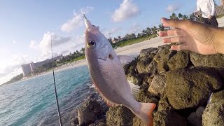 Saltwater Fishing gets me HYPED Beach Fishing in the Bahamas [upl. by Ennoved]