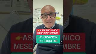 LAVORAZIONI IN CORSO ASSEGNO UNICO DI NOVEMBRE youtube youtubeshorts inps perte yes pagamenti [upl. by Sesmar]