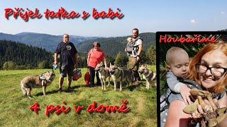 4 psi v domě houbaříme s taťkou a babi  VLOG [upl. by Aryaz]