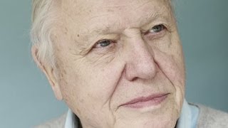 Sir David Attenborough Climate change dangers worse than we thought [upl. by Eardna]