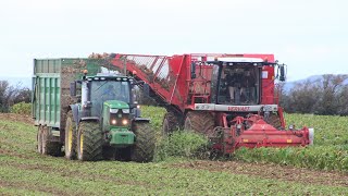 Vervaet Beet Eater 617 amp John Deere Tractors [upl. by Terrel]