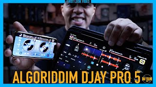 CRAZY NEW FEATURES First Look Algoriddim Djay Pro 5 [upl. by Drofkcor]