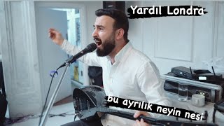 Grup Yardıl  Londra Düğün  Sallama Halay 2023 [upl. by Adnuhsed]