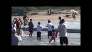 Sani2c 2013 best bridge crashes [upl. by Adena]