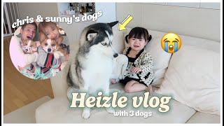 LIFE AS A MOM 🇰🇷 Heizle first time meeting Sunnydahyes dogs 🐶  Erna Limdaugh [upl. by Nossyla637]